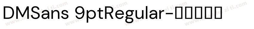 DMSans 9ptRegular字体转换